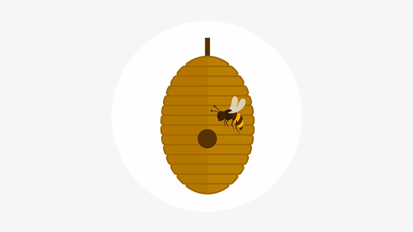 If You Have A Bee Hive Present We Can Remove This Safely - Circle, transparent png download