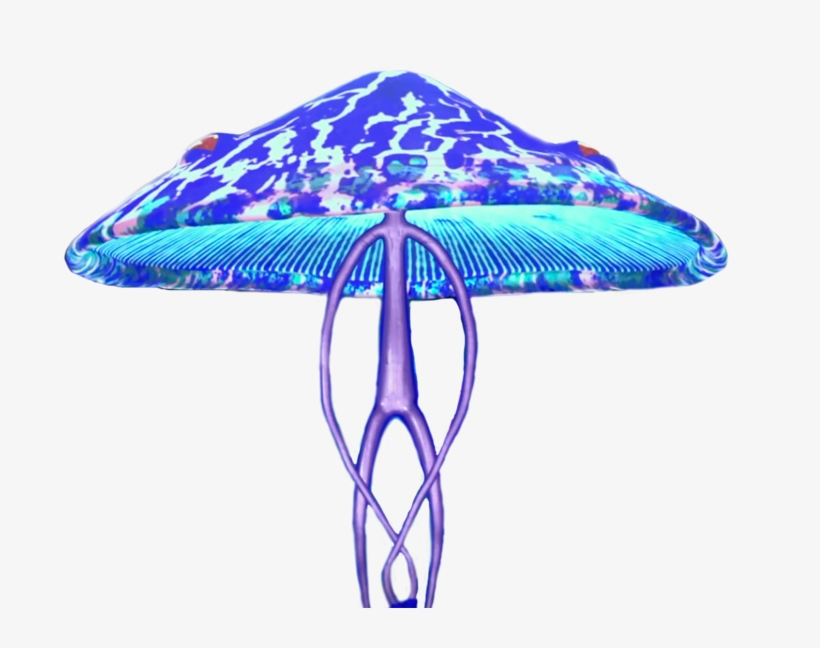 Mushroom Men - Tmnt 2012 Mushroom, transparent png download