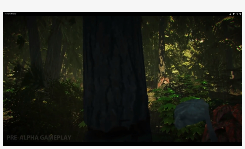 Hache De Survie - Old-growth Forest, transparent png download