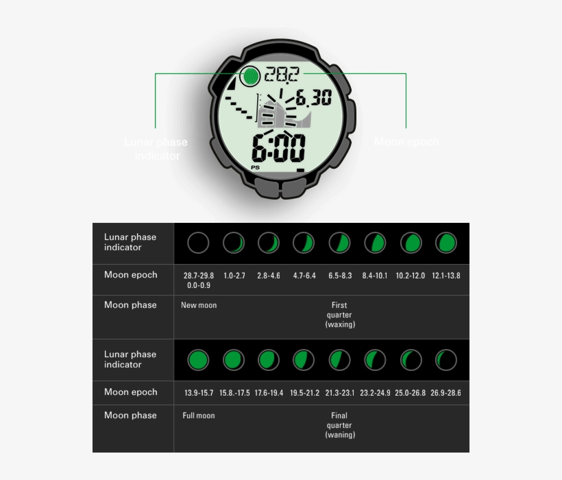 The Moon Phase Display On The Watch Is The Result Of - Casio Tide Graph, transparent png download