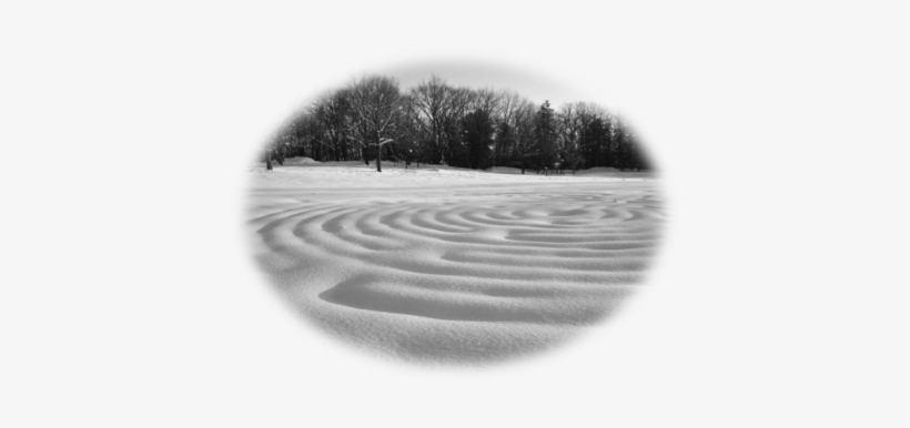 Facilitylabyrinth - Tree, transparent png download