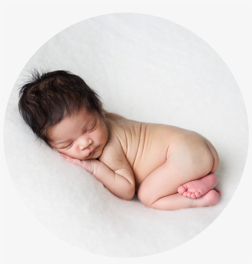 Portrait Session Pricing - Infant, transparent png download