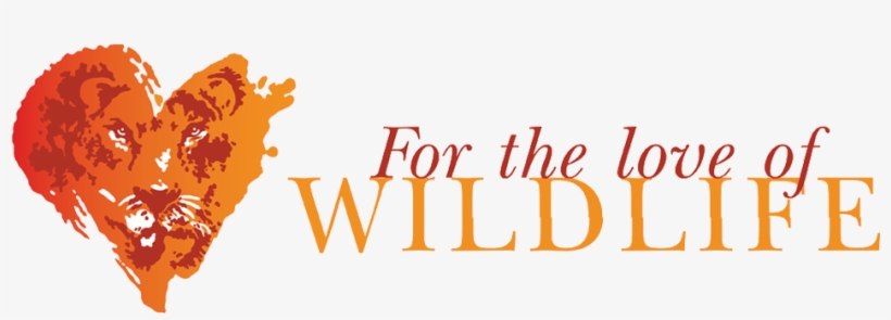For The Love Of Wildlife - Animal Organisation, transparent png download