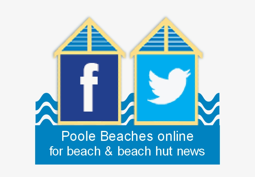 Social Media Logo For Other Websites, transparent png download