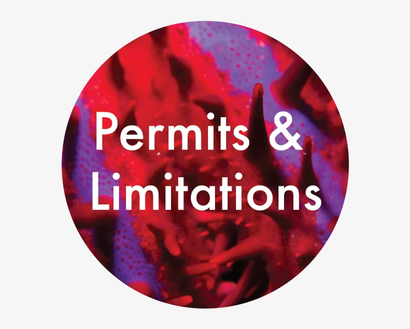 Permits-01 - Area 51 Sudan, transparent png download