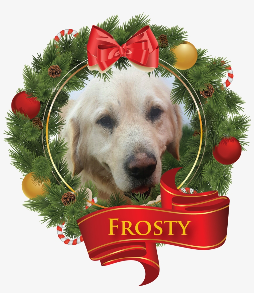 Liberty University, transparent png download