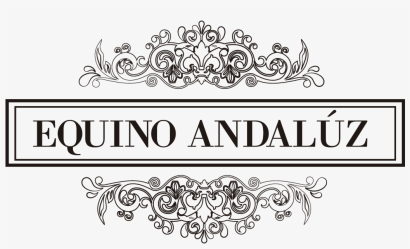 Logo Estampado Formato Png - Jb Kind, transparent png download