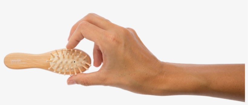 Wooden Hair Brush, Anyah - Wood, transparent png download