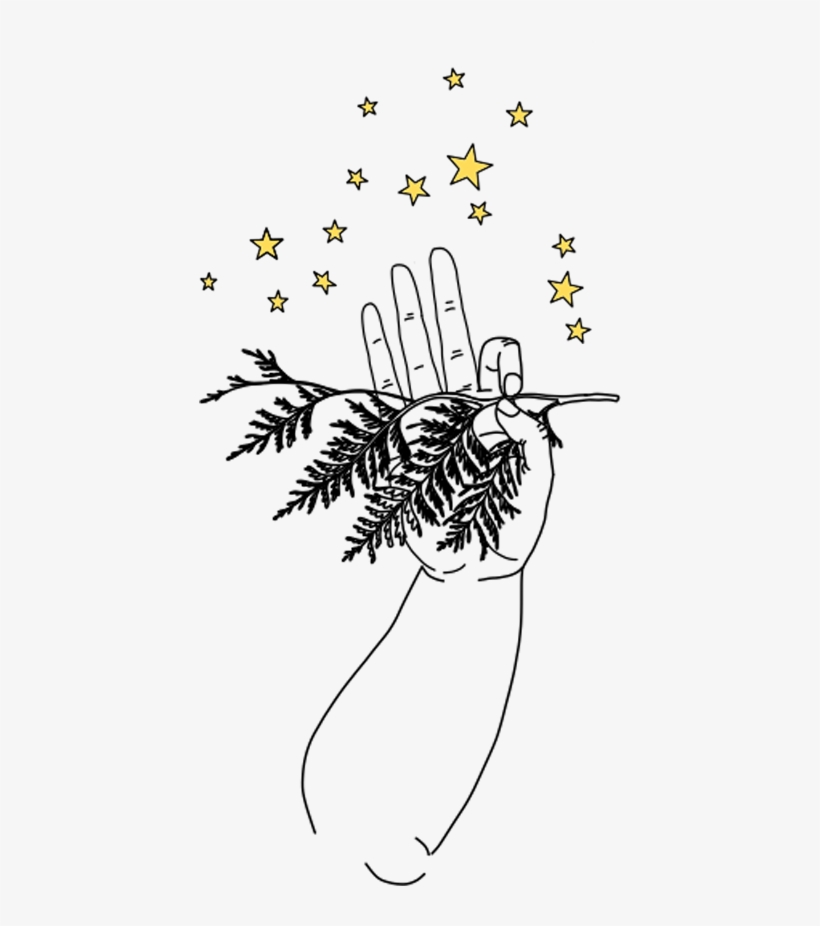 Star Seed Soul Journey - Illustration, transparent png download