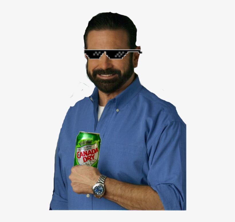 Billy Mays Has Ginger Ale - Canada Dry Diversion Safe Stash, transparent png download