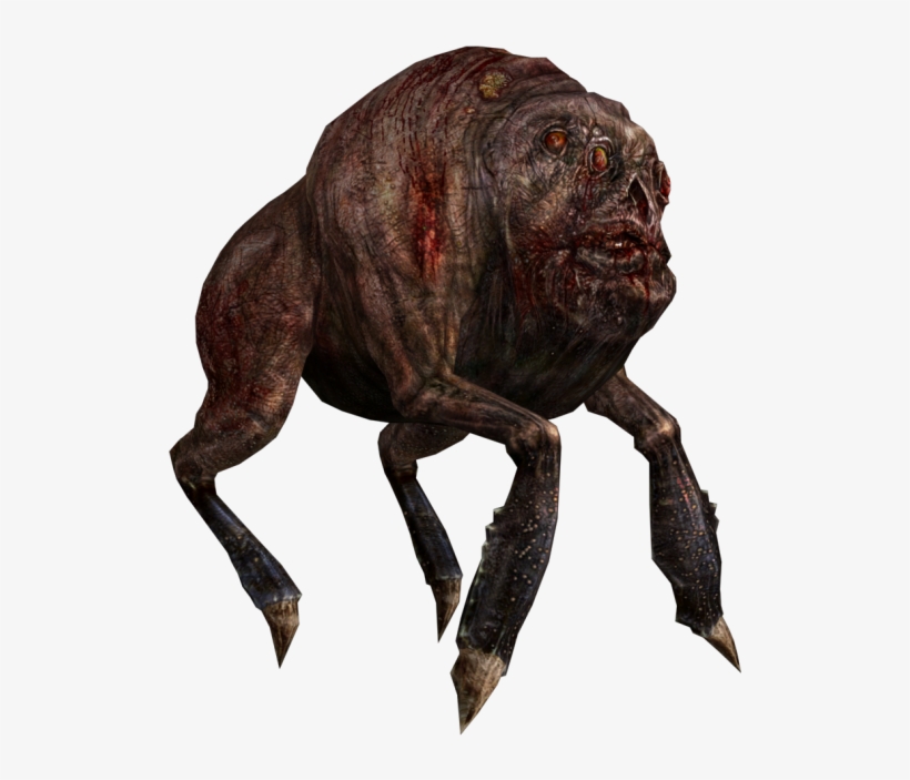 Download Zip Archive - S.t.a.l.k.e.r.: Call Of Pripyat, transparent png download