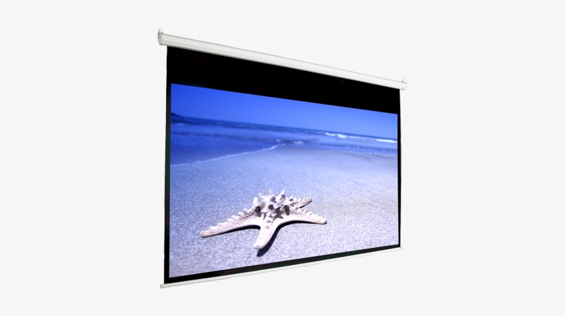 Mustang Sc-m92d169 Manual Projector Screen - White Starfish On Beach, transparent png download