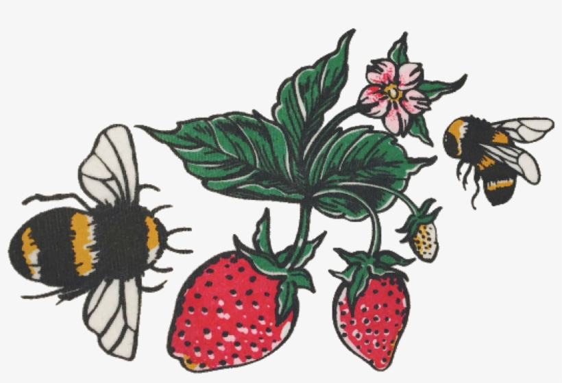 Transparent Strawberry, transparent png download