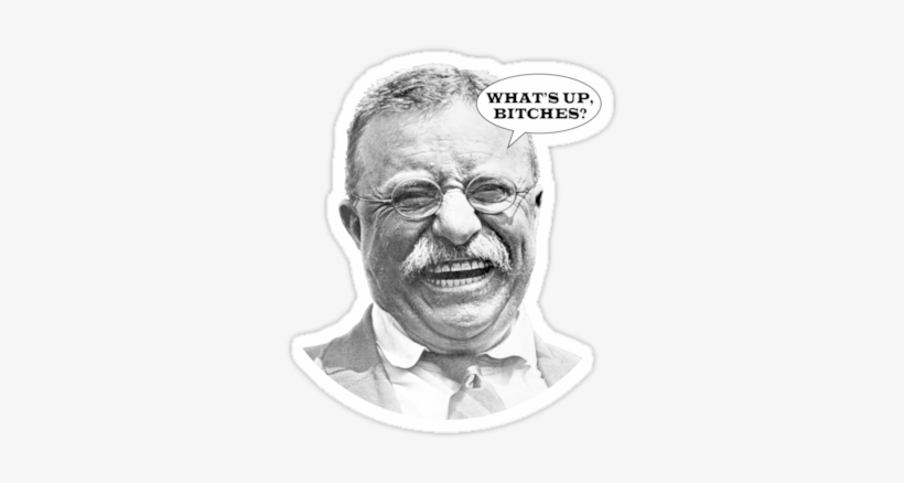 Comment Picture - Teddy Roosevelt, transparent png download