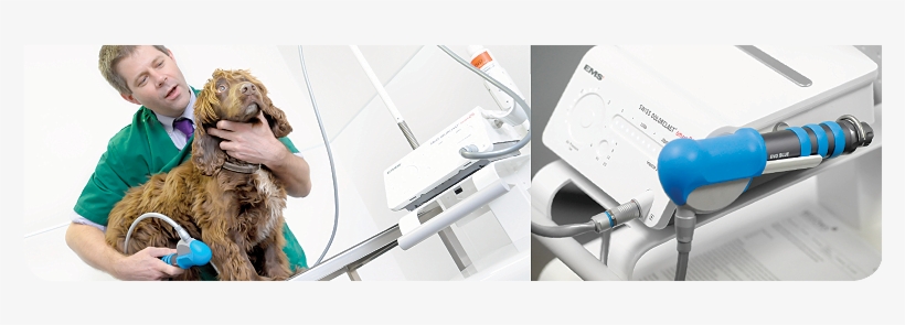 Extracorporeal Shockwave Therapy, transparent png download