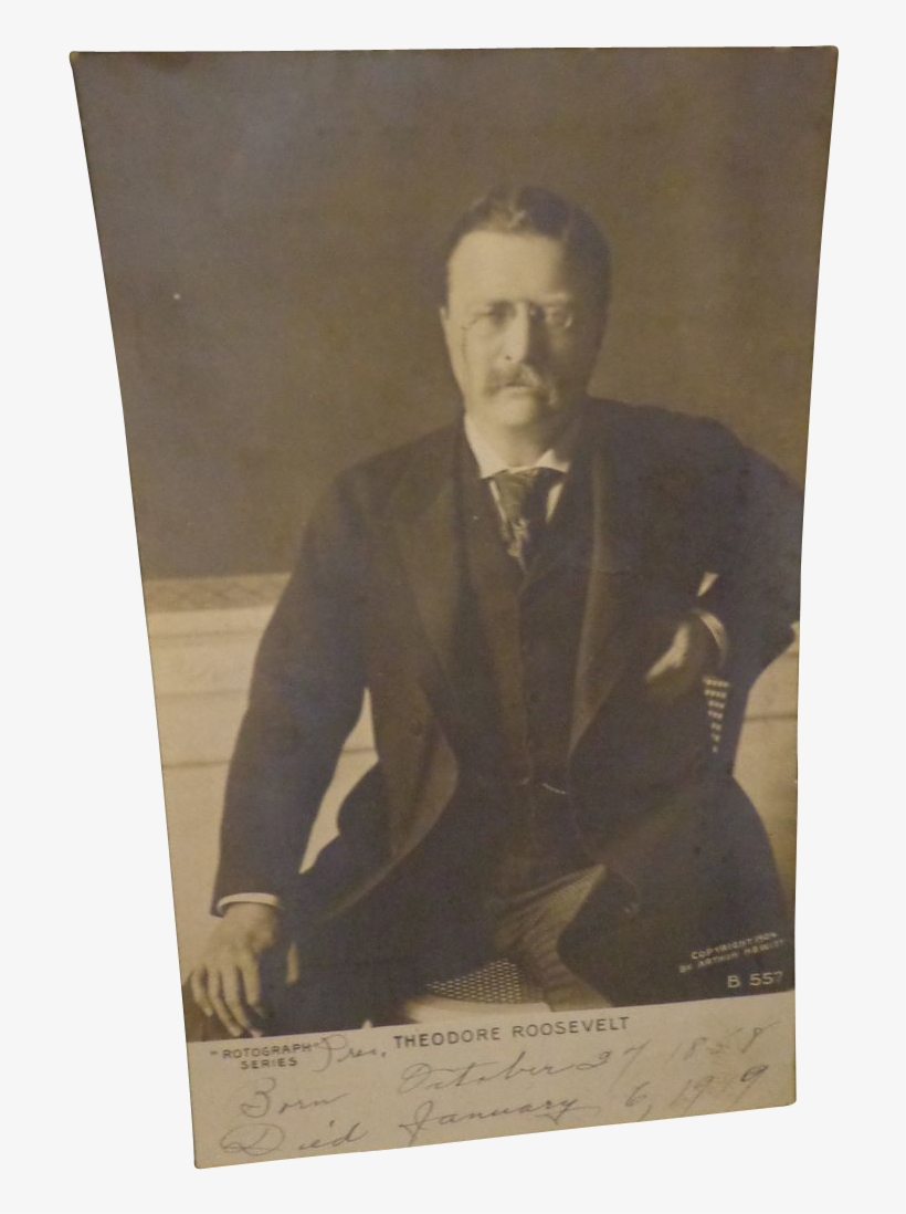 President Teddy Roosevelt Rotograph Postcard Theodore - Gentleman, transparent png download