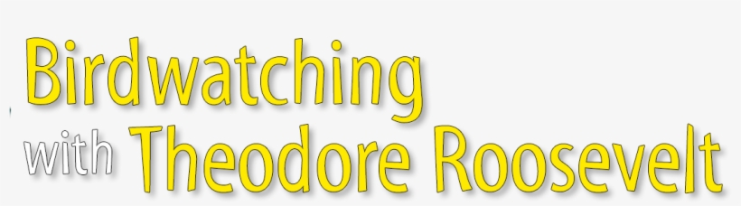 Birdwatching With Theodaore Roosevelt - Theodore Roosevelt, transparent png download