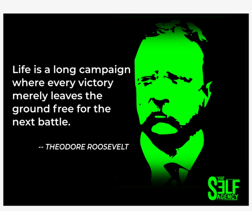 Tsa Teddy Roosevelt - Theodore Roosevelt, transparent png download