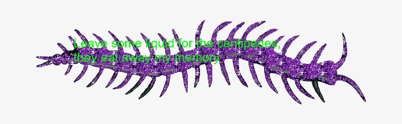 Myedit Glitter Kennedy Lyrics Centipede - Centipedes, transparent png download