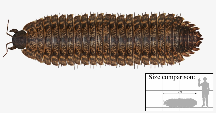 They're Also Fucking Ancient - Arthropleura, transparent png download
