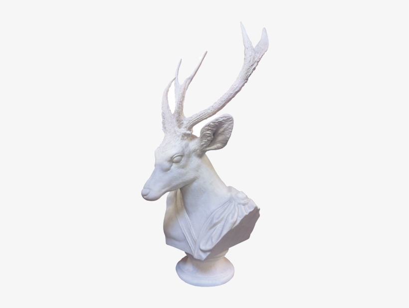 Animal Bust, transparent png download