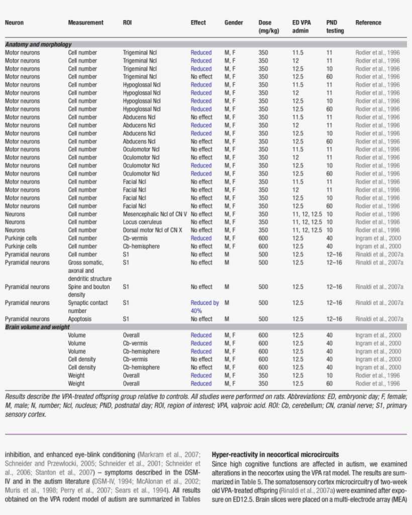 Anatomical And Morphological Alterations In The Vpa - .org, transparent png download