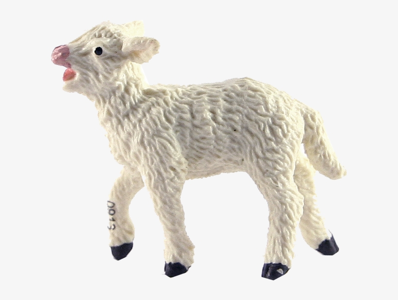 Download Amazing High-quality Latest Png Images Transparent - Lamb Png, transparent png download