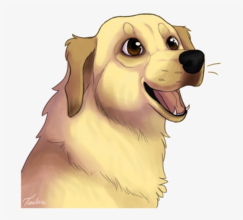 Banner Transparent Download Tealitre On Twitter Borfboard - Transparent Chica The Dog, transparent png download