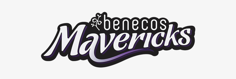 Benecosmavericks Vs England Mens Squad - Hertfordshire Mavericks Netball Logo, transparent png download