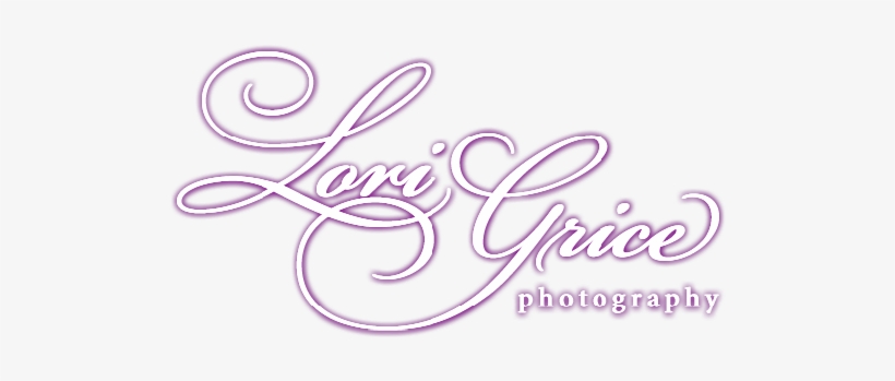 Lori Grice Photography, transparent png download
