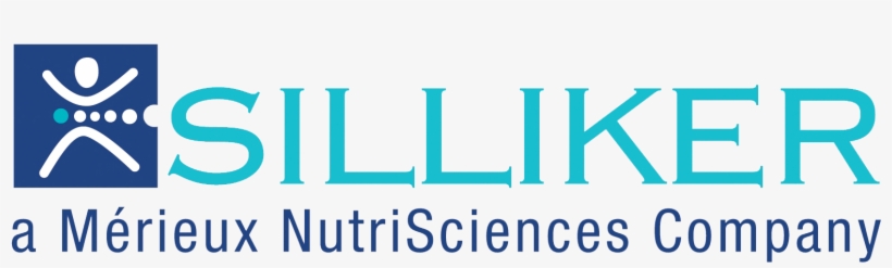 Silliker Logo Hubspot - Can T Happen Here Sinclair Lewis, transparent png download