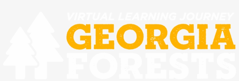 Georgia Forests Logo - Model Ford The Ladies Man, transparent png download