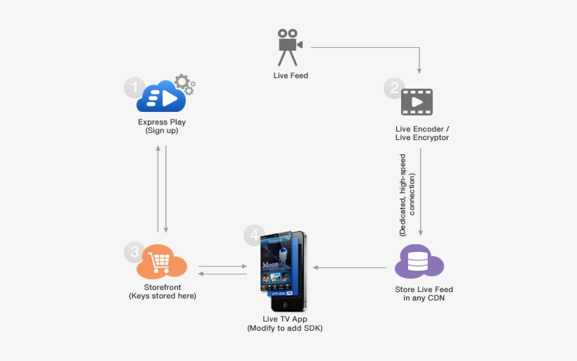 The Rest Of The Setup Is Standard Dash Streaming From - Live Stream Connection, transparent png download