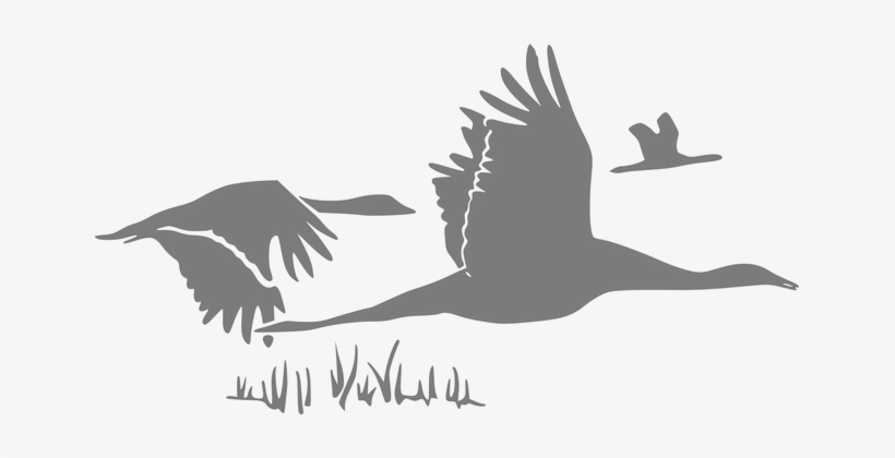 Geese Migration Clipart Crows - Rumi Quotes On Helping, transparent png download