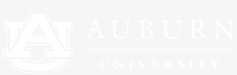 Auburn University To Hire 500 Tenure-track Faculty - Crimson Petal And The White Book Cover, transparent png download