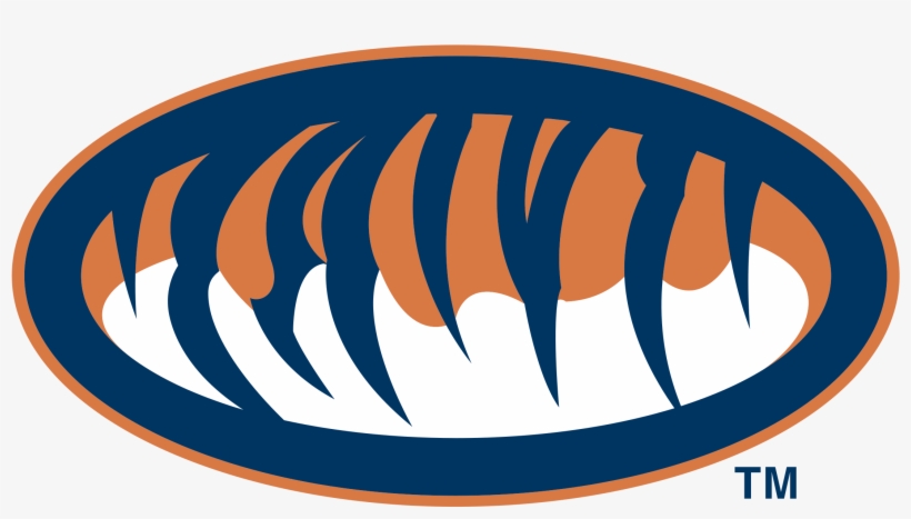 Auburn Tigers Logo Png Transparent - Auburn Tigers, transparent png download