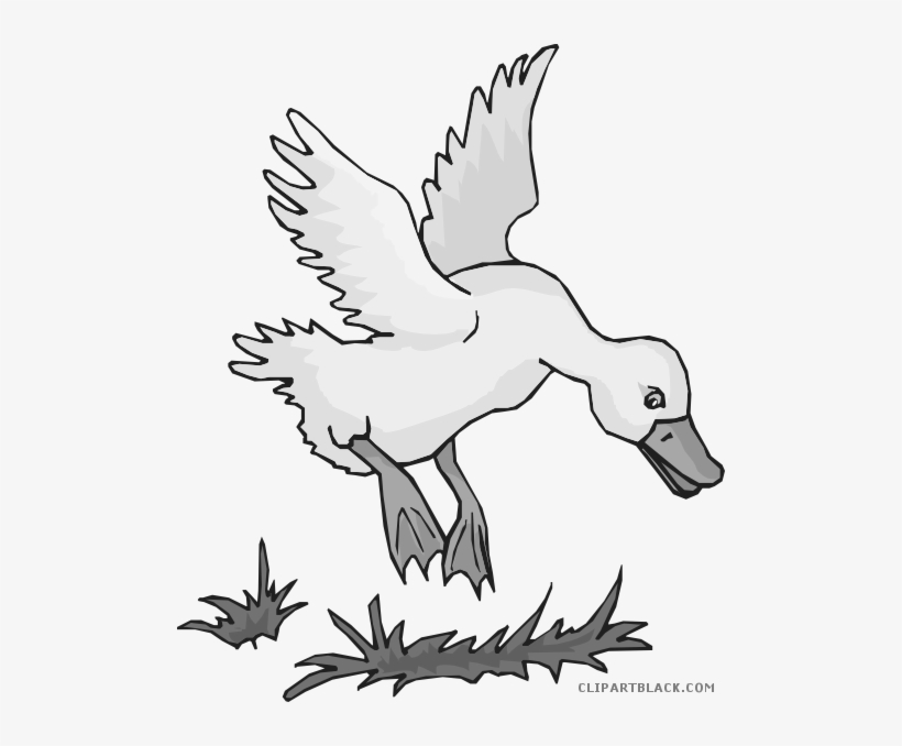 Prairie Falcon Clipart Sock - Goska Clipart, transparent png download