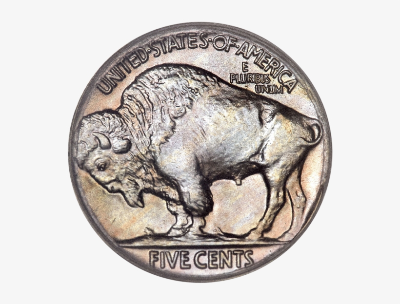 Transparent Facebook The Buffalo Coin Shop - Buffalo Nickel, transparent png download