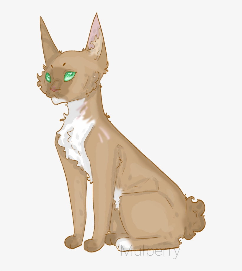 Lynx Curl By Mulberry - Cat Yawns, transparent png download