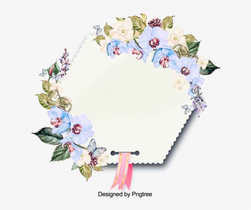 Mein Aloha Dschungel-vogel-garten Rundes Kissen, transparent png download