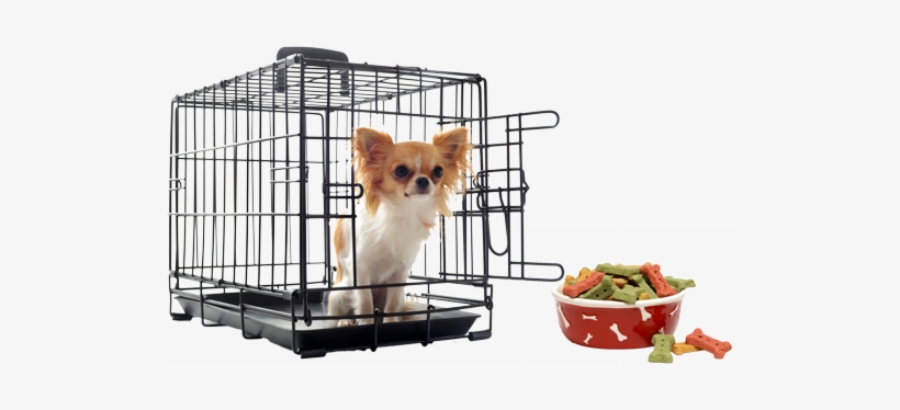 Dog In Training Crate - Png Dog In Crate Transparent, transparent png download