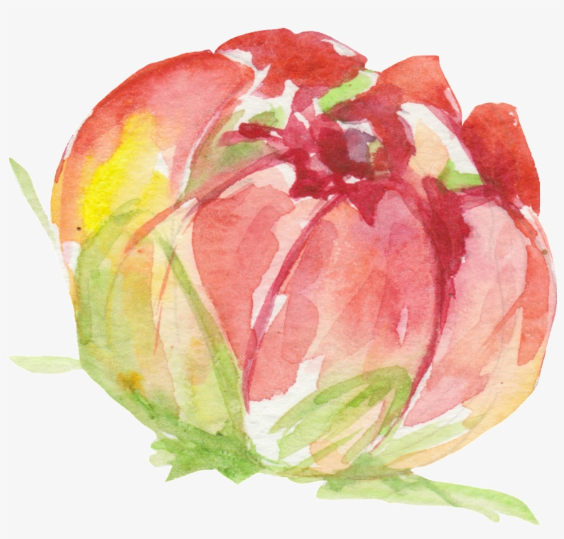 In Early Puberty Flowers Transparent Decorative - Flower, transparent png download