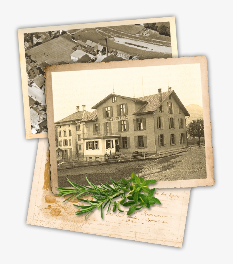 Bild1 Bild2 Bild-mobile - History, transparent png download