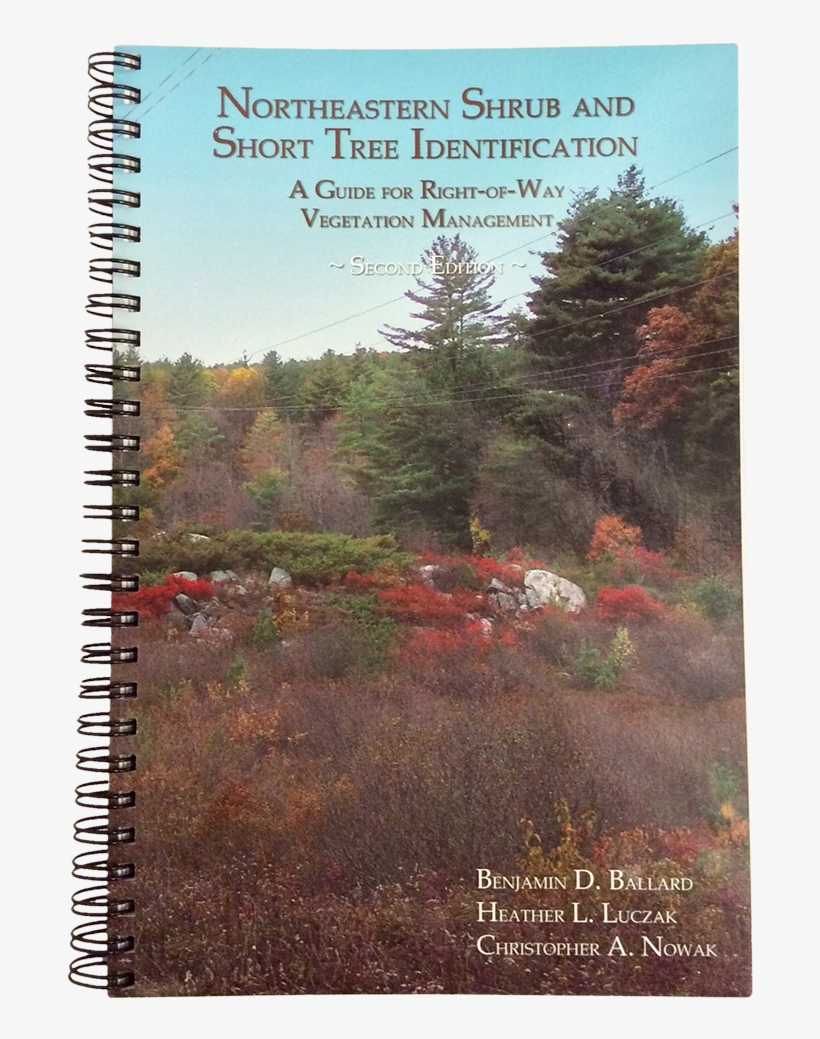 Northeastern Shrub And Tree Identification - Spiral, transparent png download