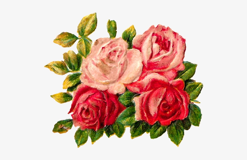 Digital Rose Clip Art - Rose, transparent png download