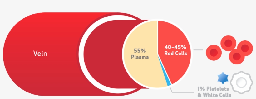 The Facts About Whole Blood Canadian Blood Services - Blood, transparent png download