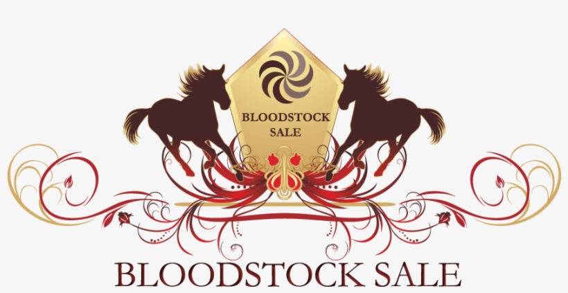 The Bloodstock Sale, Northlands, Edmonton - Graphic Design, transparent png download