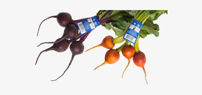 Beets - Root Vegetable, transparent png download
