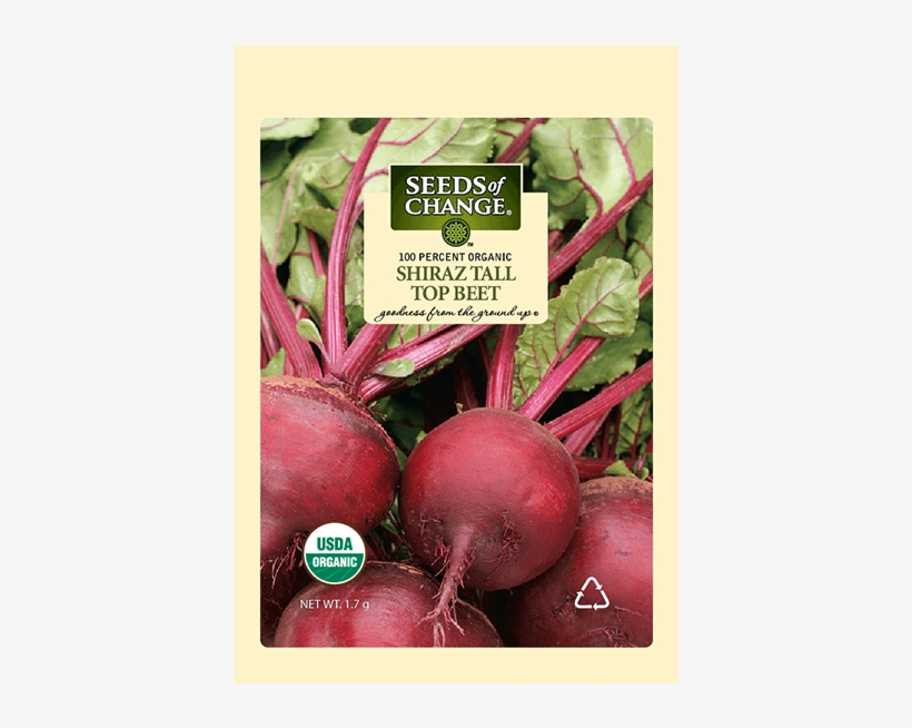 Organic Shiraz Tall Top Beet Seeds - Seeds Of Change 21076 Organic Zesty Cln Quinoa Blend, transparent png download