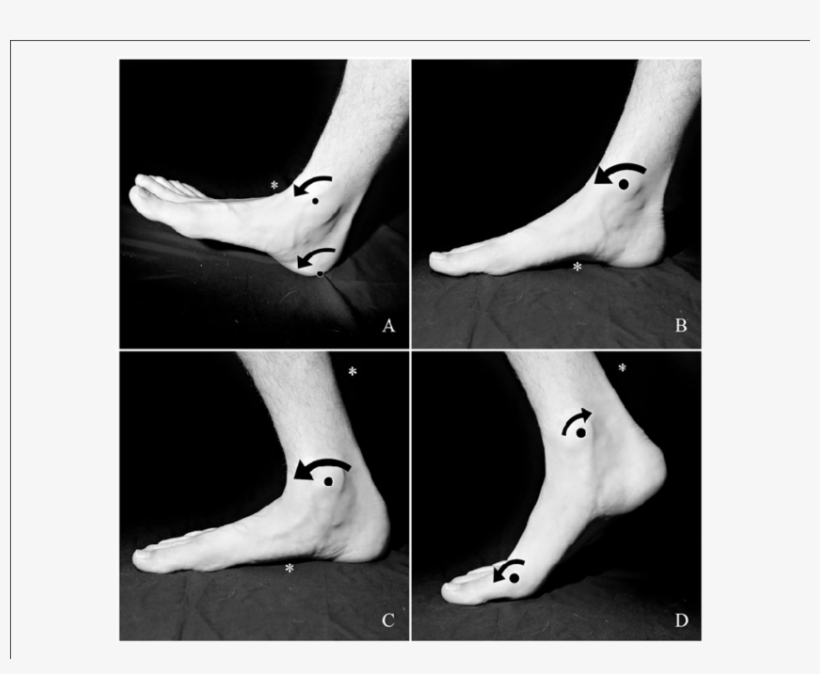 During The First Rocker, The Heel Strikes The Ground, - Foot, transparent png download